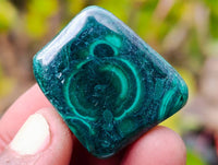 Polished Flower Banded Malachite Free Forms x 70 From Congo - Toprock Gemstones and Minerals