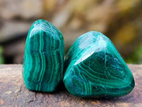 Polished Flower Banded Malachite Free Forms x 70 From Congo - Toprock Gemstones and Minerals