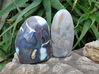 Polished Banded Agate Standing Free Forms x 3 From Madagascar - Toprock Gemstones and Minerals