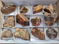 Natural Selected Nguni Jasper Cobbed Specimens x 12 From Prieska, South Africa - Toprock Gemstones and Minerals