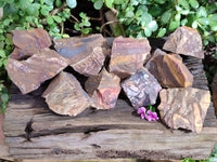 Natural Selected Nguni Jasper Cobbed Specimens x 12 From Prieska, South Africa - Toprock Gemstones and Minerals