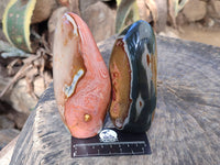 Polished Polychrome Jasper Standing Free Forms x 3 From Madagascar - Toprock Gemstones and Minerals