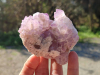 Natural Amethyst Spirit Quartz Clusters x 6 From South Africa - Toprock Gemstones and Minerals