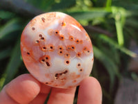 Polished Carnelian Agate Palm Stones x 12 From Madagascar - Toprock Gemstones and Minerals