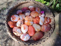 Polished Carnelian Agate Palm Stones x 12 From Madagascar - Toprock Gemstones and Minerals