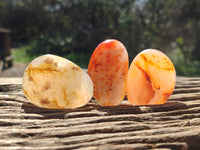 Polished Carnelian Agate Palm Stones x 12 From Madagascar - Toprock Gemstones and Minerals