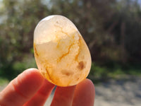 Polished Carnelian Agate Palm Stones x 12 From Madagascar - Toprock Gemstones and Minerals