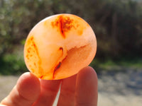 Polished Carnelian Agate Palm Stones x 12 From Madagascar - Toprock Gemstones and Minerals