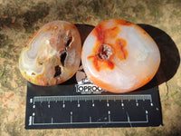 Polished Carnelian Agate Palm Stones x 12 From Madagascar - Toprock Gemstones and Minerals