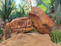Natural Selected Nguni Jasper Cobbed Specimens x 12 From Prieska, South Africa - Toprock Gemstones and Minerals