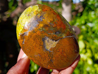 Polished Green Opal Standing Free Forms x 6 From Madagascar - Toprock Gemstones and Minerals