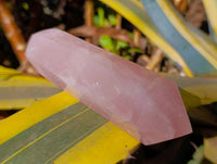 Polished Double Terminated Rose Quartz Points x 2 From Madagascar - Toprock Gemstones and Minerals