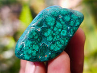 Polished Flower Banded Malachite Free Forms x 35 From Congo - Toprock Gemstones and Minerals