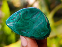 Polished Flower Banded Malachite Free Forms x 35 From Congo - Toprock Gemstones and Minerals
