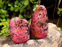 Polished Rhodonite Free Forms x 6 From Rhusinga, Zimbabwe - Toprock Gemstones and Minerals