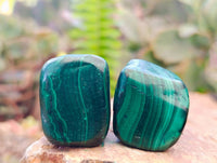 Polished Flower Banded Malachite Free Forms x 35 From Congo - Toprock Gemstones and Minerals