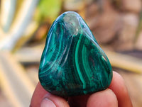 Polished Flower Banded Malachite Free Forms x 35 From Congo - Toprock Gemstones and Minerals