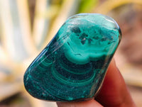 Polished Flower Banded Malachite Free Forms x 35 From Congo - Toprock Gemstones and Minerals