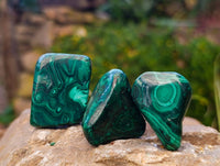 Polished Flower Banded Malachite Free Forms x 35 From Congo - Toprock Gemstones and Minerals