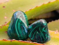 Polished Flower Banded Malachite Free Forms x 35 From Congo - Toprock Gemstones and Minerals