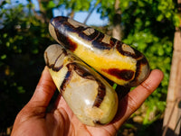 Polished Septerye Massage Wands x 6 From Madagascar - Toprock Gemstones and Minerals