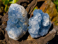 Natural Celestite Specimens x 2 From Sakoany, Madagascar - Toprock Gemstones and Minerals