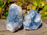 Natural Celestite Specimens x 2 From Sakoany, Madagascar - Toprock Gemstones and Minerals