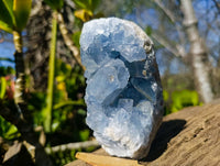 Natural Celestite Specimens x 2 From Sakoany, Madagascar - Toprock Gemstones and Minerals