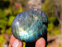 Polished Labradorite Palm Stones x 12 From Tulear, Madagascar - Toprock Gemstones and Minerals
