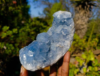 Natural Celestite Specimens x 2 From Sakoany, Madagascar - Toprock Gemstones and Minerals