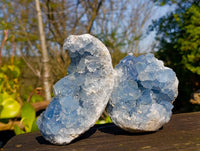 Natural Celestite Specimens x 2 From Sakoany, Madagascar - Toprock Gemstones and Minerals