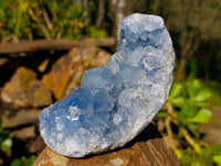 Natural Celestite Specimens x 2 From Sakoany, Madagascar - Toprock Gemstones and Minerals