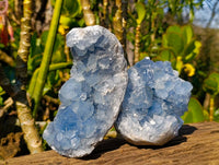 Natural Celestite Specimens x 2 From Sakoany, Madagascar - Toprock Gemstones and Minerals