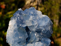 Natural Celestite Specimens x 2 From Sakoany, Madagascar - Toprock Gemstones and Minerals