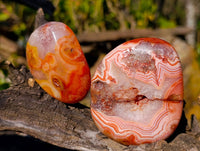 Polished Carnelian Agate Palm Stones x 12 From Madagascar - Toprock Gemstones and Minerals