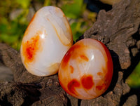 Polished Carnelian Agate Palm Stones x 12 From Madagascar - Toprock Gemstones and Minerals