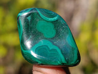 Polished Flower Banded Malachite Free Forms x 70 From Congo - Toprock Gemstones and Minerals
