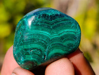 Polished Flower Banded Malachite Free Forms x 70 From Congo - Toprock Gemstones and Minerals