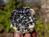 Natural Schorl Black Tourmaline Specimens x 6 From Namibia - Toprock Gemstones and Minerals