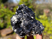 Natural Schorl Black Tourmaline Specimens x 6 From Namibia - Toprock Gemstones and Minerals