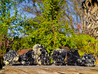Natural Schorl Black Tourmaline Specimens x 6 From Namibia - Toprock Gemstones and Minerals