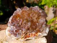 Natural Ametrine Spirit Quartz Clusters x 2 From South Africa - Toprock Gemstones and Minerals