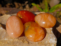 Polished Orange Twist Calcite Palm Stones x 28 From Madagascar - Toprock Gemstones and Minerals