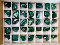 Polished Flower Banded Malachite Free Forms x 35 From Congo - Toprock Gemstones and Minerals