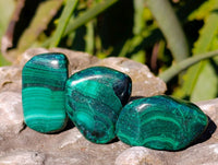 Polished Flower Banded Malachite Free Forms x 35 From Congo - Toprock Gemstones and Minerals