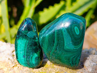 Polished Flower Banded Malachite Free Forms x 35 From Congo - Toprock Gemstones and Minerals
