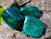 Polished Flower Banded Malachite Free Forms x 35 From Congo - Toprock Gemstones and Minerals