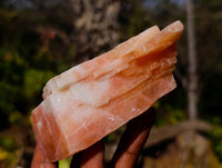 Natural Sunset Orange Calcite Specimens x 6 From Spitzkop, Namibia - Toprock Gemstones and Minerals