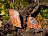Natural Sunset Orange Calcite Specimens x 6 From Spitzkop, Namibia - Toprock Gemstones and Minerals