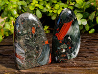 Polished Bloodstone Standing Free Forms x 2 From Swaziland - Toprock Gemstones and Minerals